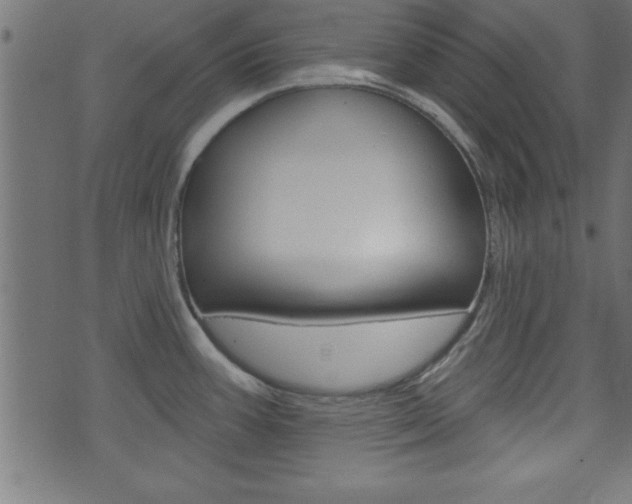 X0000071821387200606301000