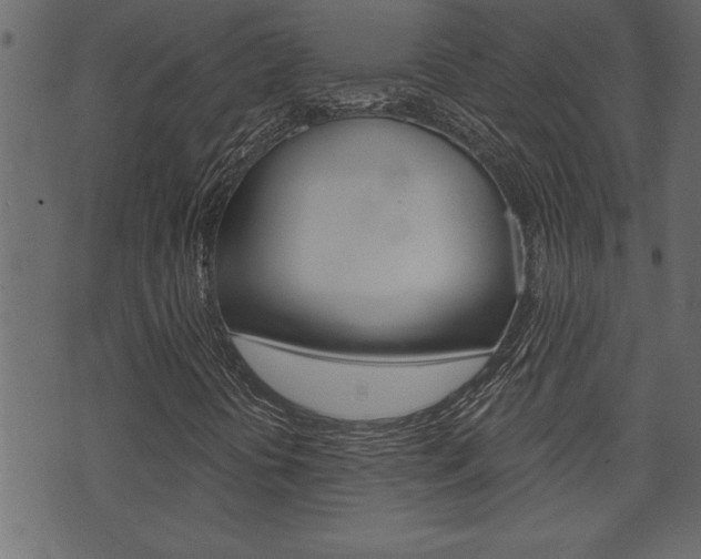 X0000071821394200606300959