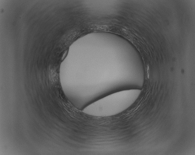 X0000071821395200606300959
