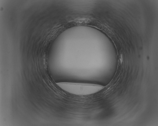 X0000071821396200606300959