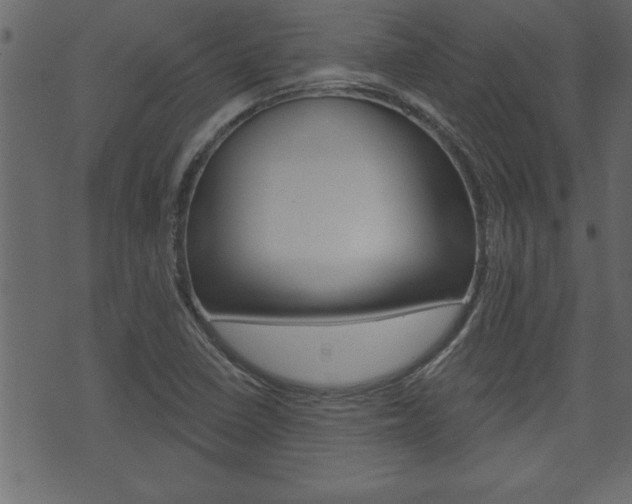 X0000071821410200606300959