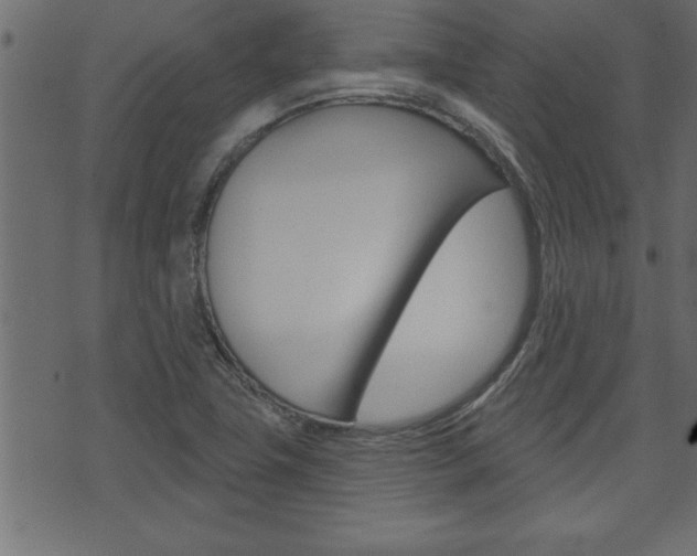 X0000071821411200606300959