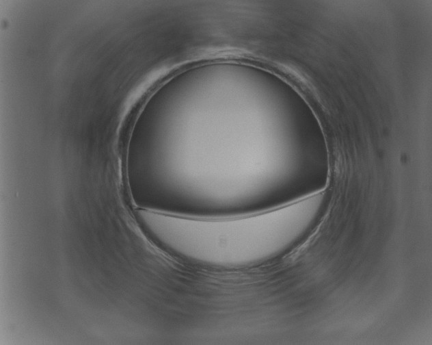 X0000071821414200606300959