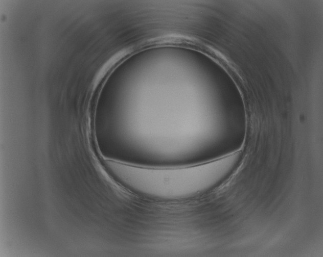 X0000071821418200606300959