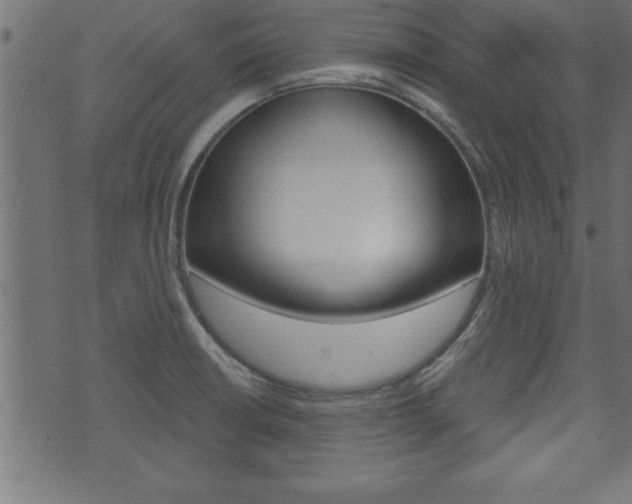 X0000071821426200606300959
