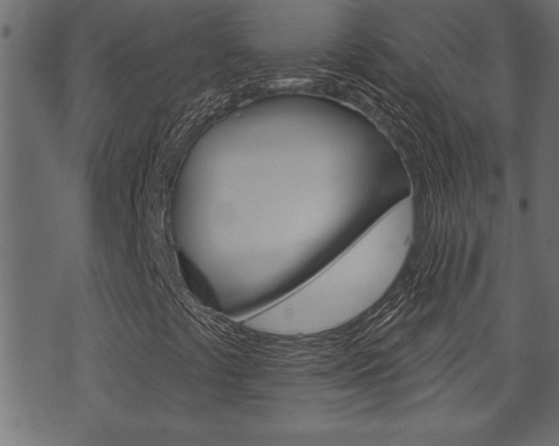 X0000071821441200606300959
