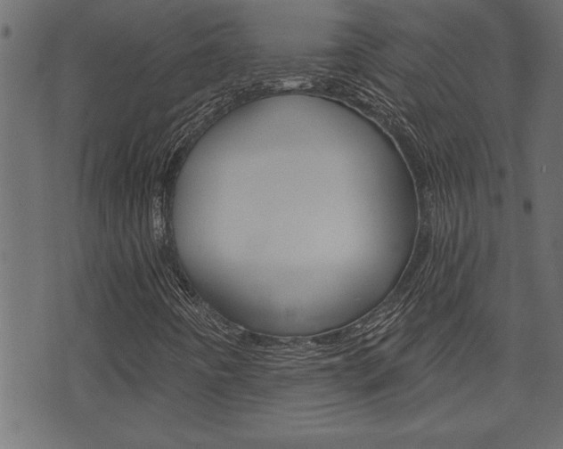 X0000071821442200606300959