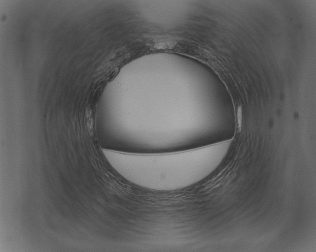 X0000071821443200606300959
