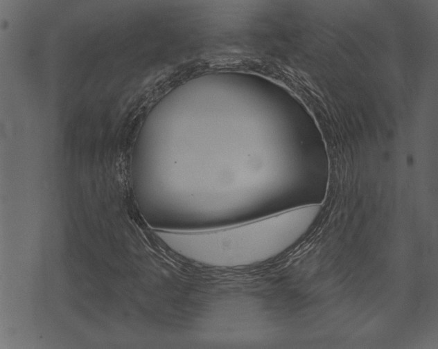 X0000071821445200606300959