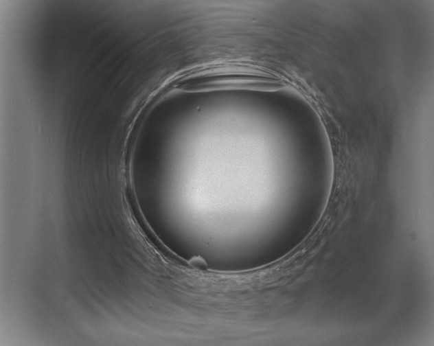 X0000071820002200606301305