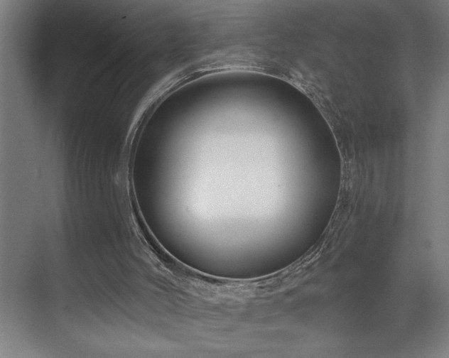 X0000071820004200606301305