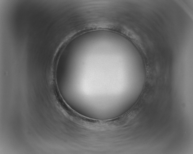 X0000071820012200606301305