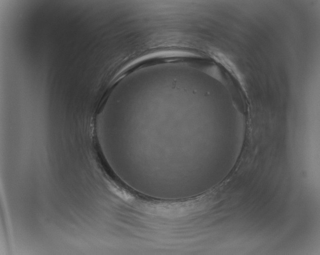 X0000071820017200606301304