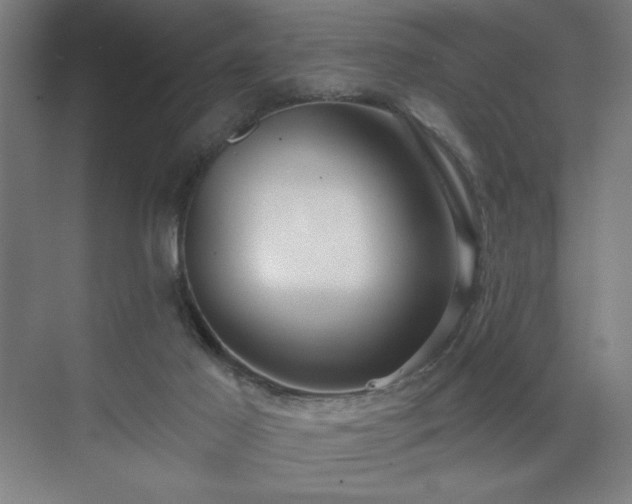 X0000071820021200606301304