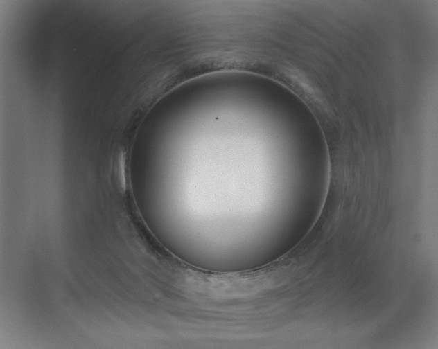 X0000071820022200606301304