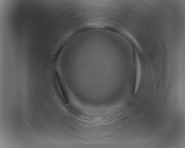 X0000071820023200606301304