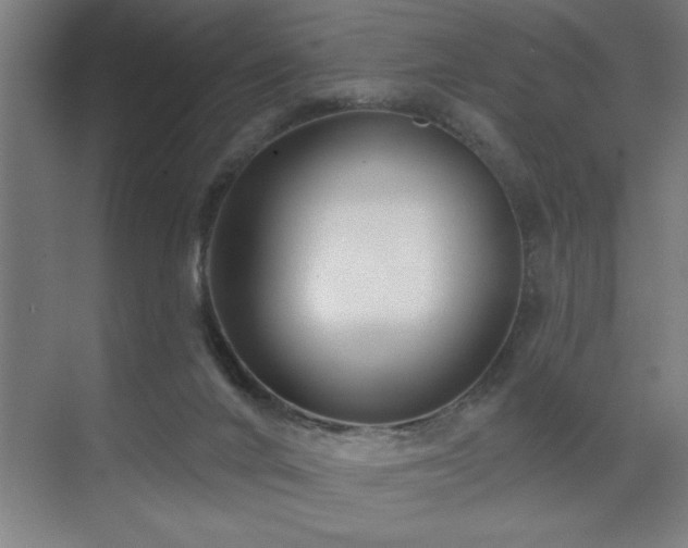 X0000071820024200606301304