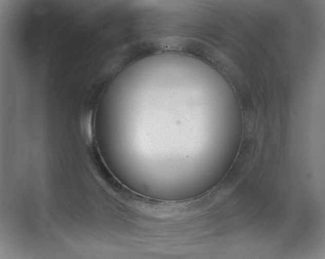 X0000071820028200606301304