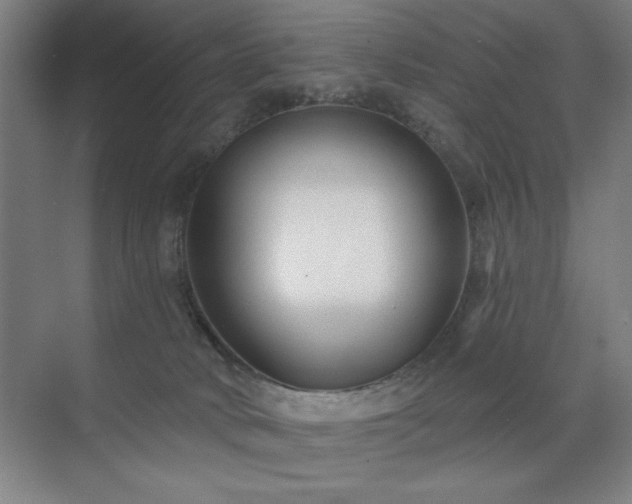 X0000071820034200606301304