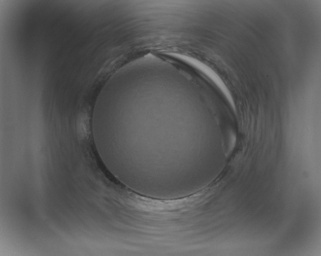 X0000071820035200606301304