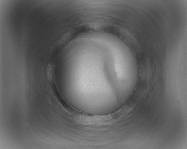 X0000071820036200606301304
