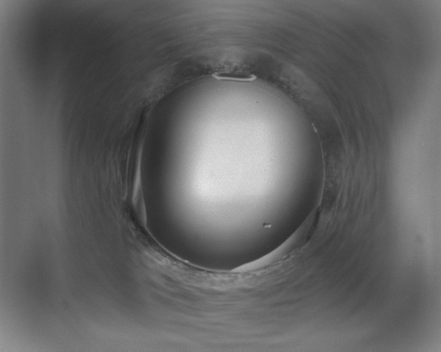 X0000071820037200606301304