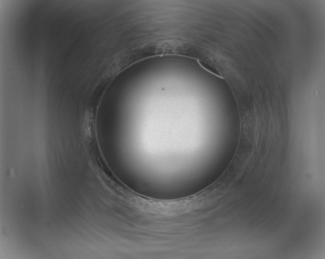 X0000071820038200606301304