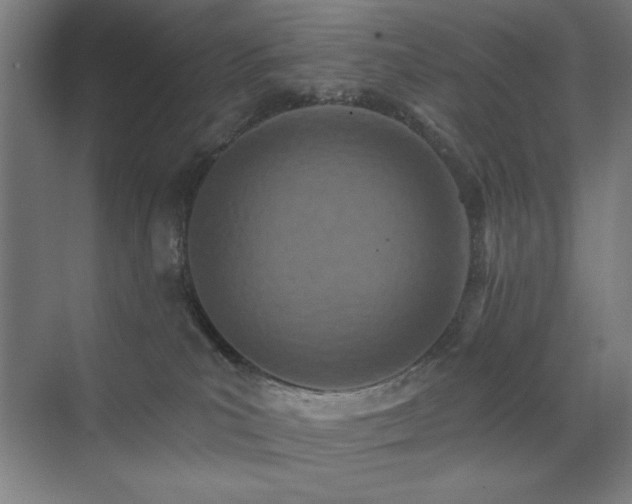 X0000071820039200606301304