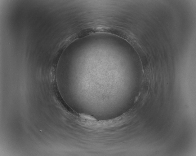 X0000071820043200606301304