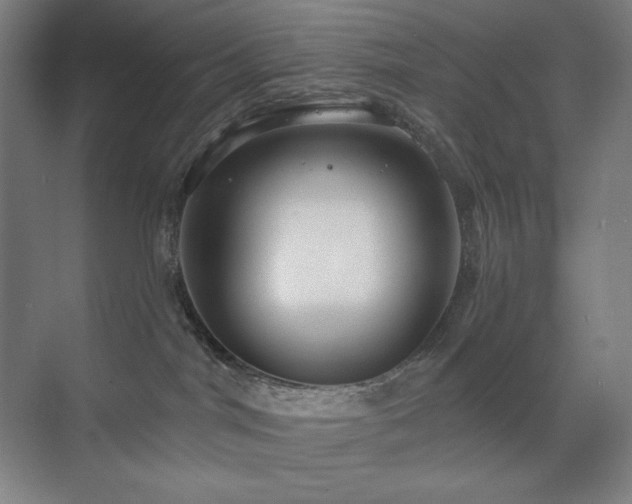X0000071820044200606301304
