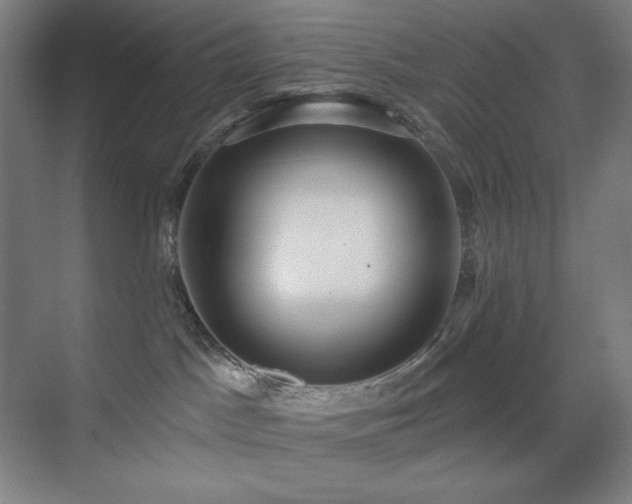 X0000071820045200606301304
