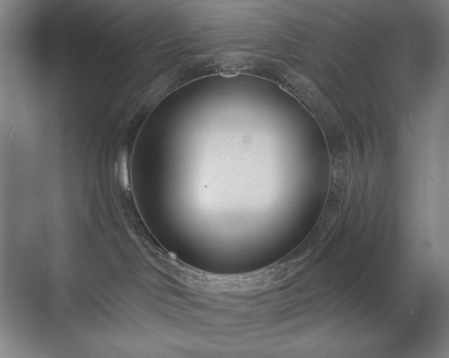 X0000071820046200606301304