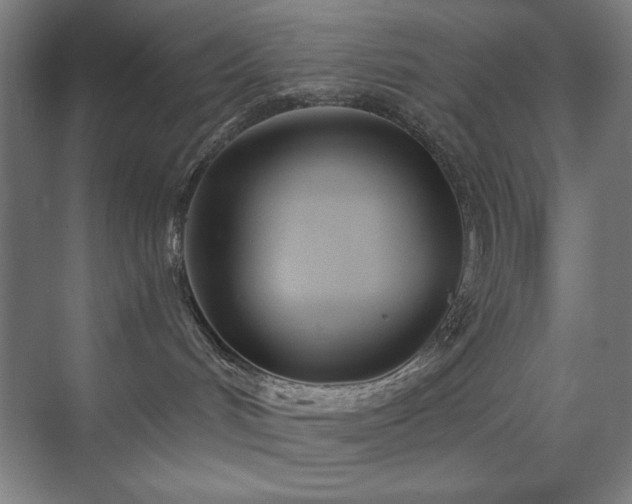 X0000071820048200606301304