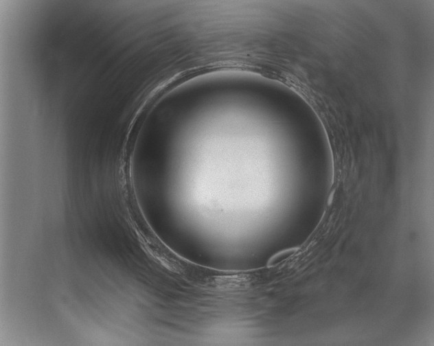 X0000071820050200606301303