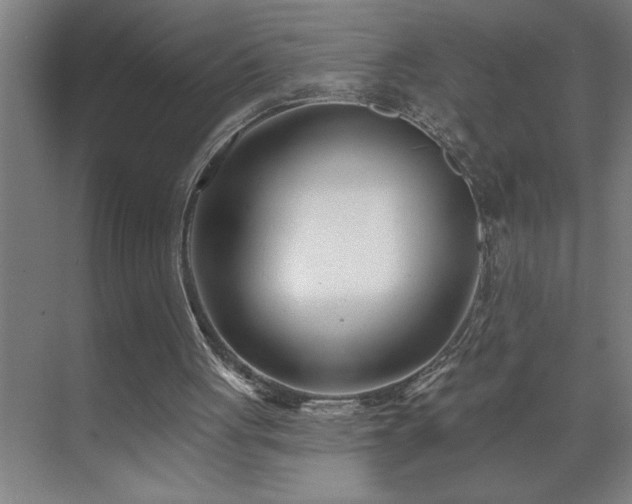 X0000071820051200606301303