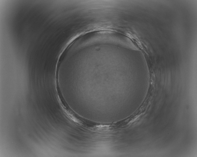 X0000071820052200606301303