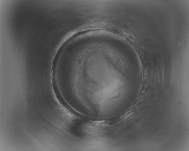 X0000071820054200606301303