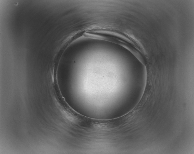 X0000071820062200606301303