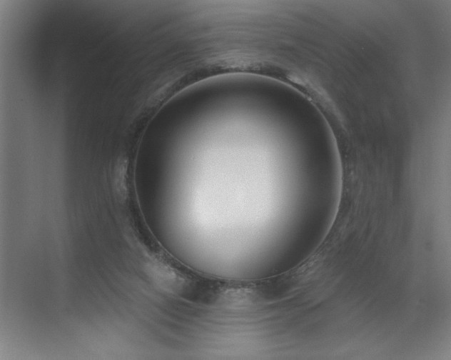 X0000071820066200606301303