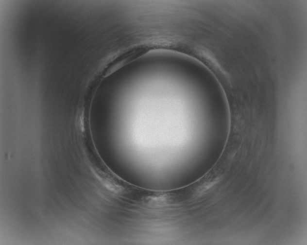 X0000071820068200606301303