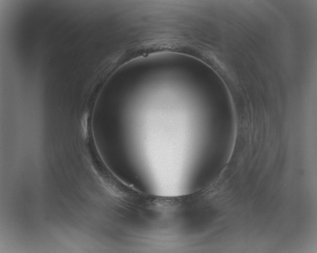 X0000071820070200606301303