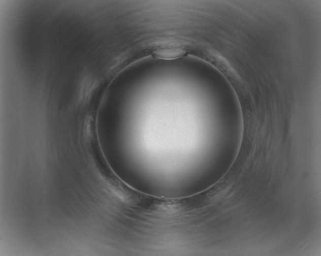 X0000071820071200606301303