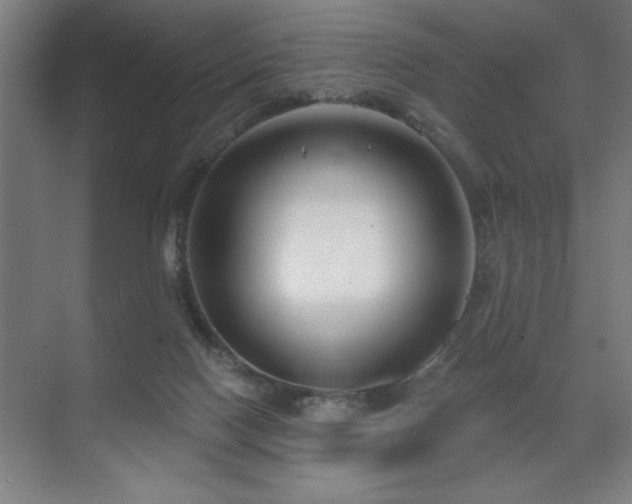 X0000071820074200606301304