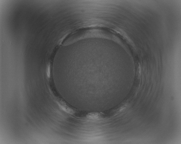 X0000071820076200606301304