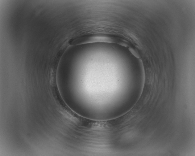 X0000071820077200606301304