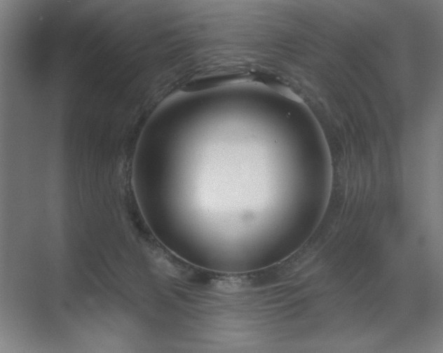 X0000071820079200606301304