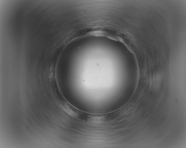 X0000071820081200606301304