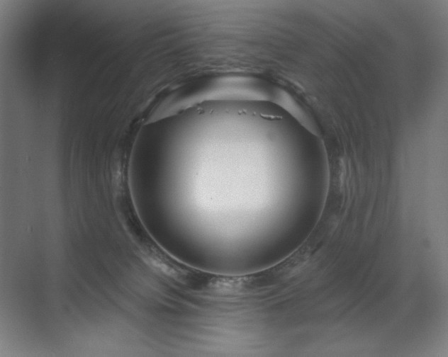 X0000071820084200606301304