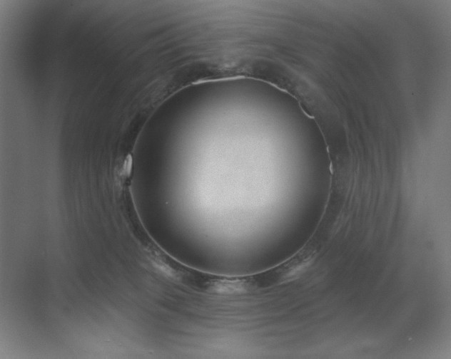 X0000071820085200606301304