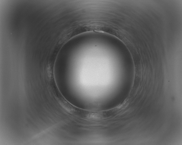 X0000071820086200606301304